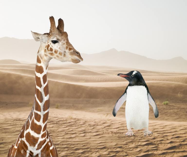 Hochsensible Scannerpersönlichkeit: Aus einem Pinguin wird auch mit Psychotherapie keine Giraffe
