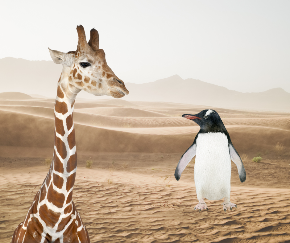 You are currently viewing Hochsensible Scannerpersönlichkeit: bist du Pinguin oder Giraffe?